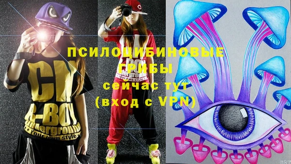 ALPHA-PVP Алексеевка