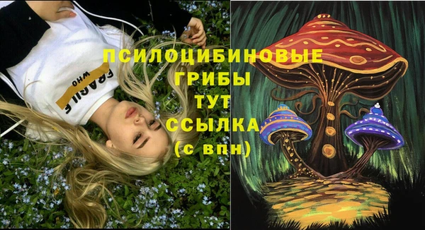 экстази Алексин