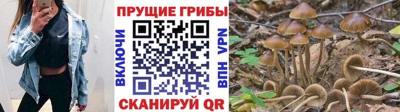 Псилоцибиновые грибы Magic Shrooms Нижний Тагил